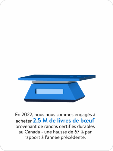 Animated Walmart cow infographic in French.